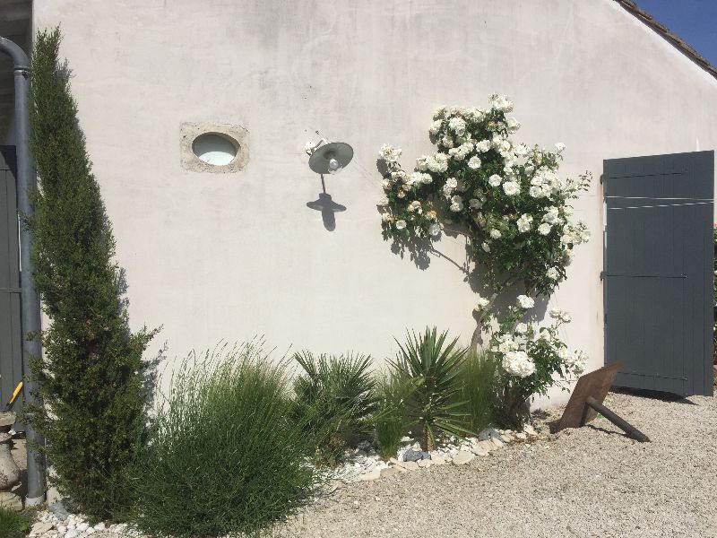 Photo 4 : EXTERIEUR d'une maison située à Le Bois-Plage-en-Ré, île de Ré.