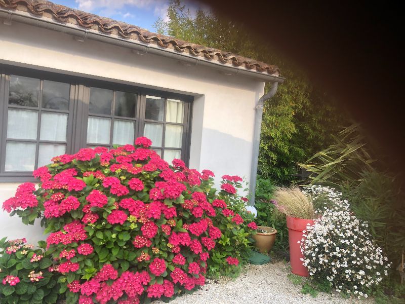 Photo 2 : EXTERIEUR d'une maison située à Le Bois-Plage-en-Ré, île de Ré.