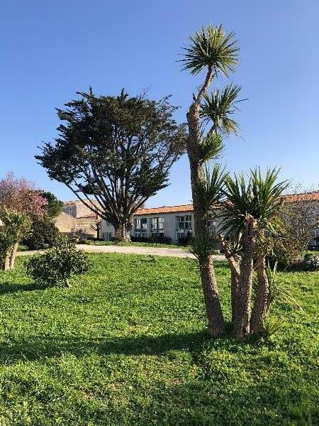 Photo 39 : EXTERIEUR d'une maison située à Saint-Martin-de-Ré, île de Ré.