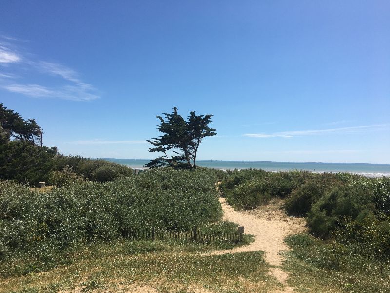 Photo 42 : AUTRE d'une maison située à Sainte-Marie-de-Ré, île de Ré.