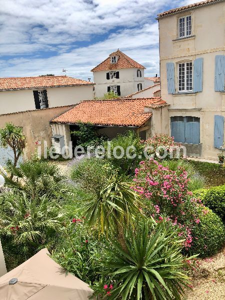 Photo 6 : JARDIN d'une maison située à La Flotte-en-Ré, île de Ré.