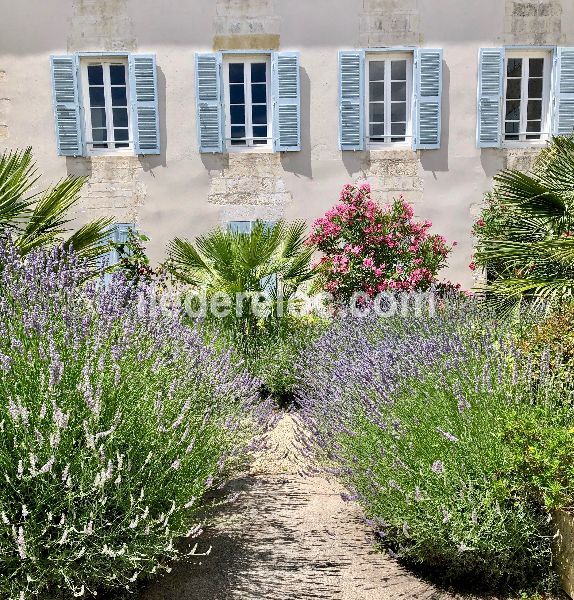 Photo 7 : JARDIN d'une maison située à La Flotte-en-Ré, île de Ré.