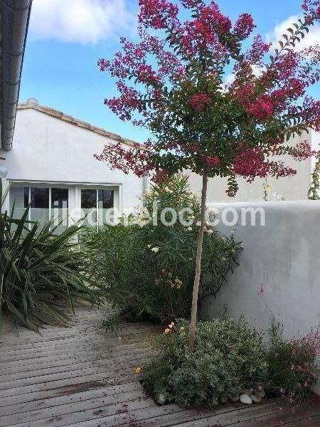 Photo 35 : PATIO d'une maison située à La Couarde-sur-mer, île de Ré.