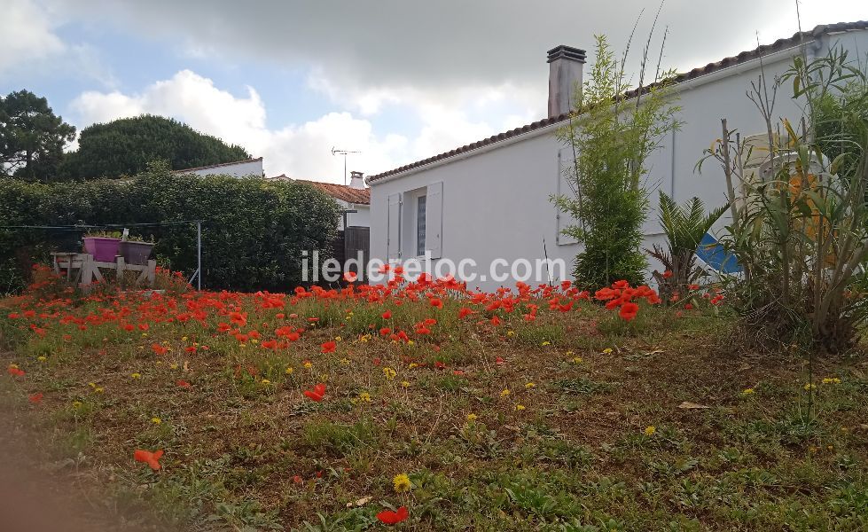 Photo 7 : NC d'une maison située à La Flotte-en-Ré, île de Ré.