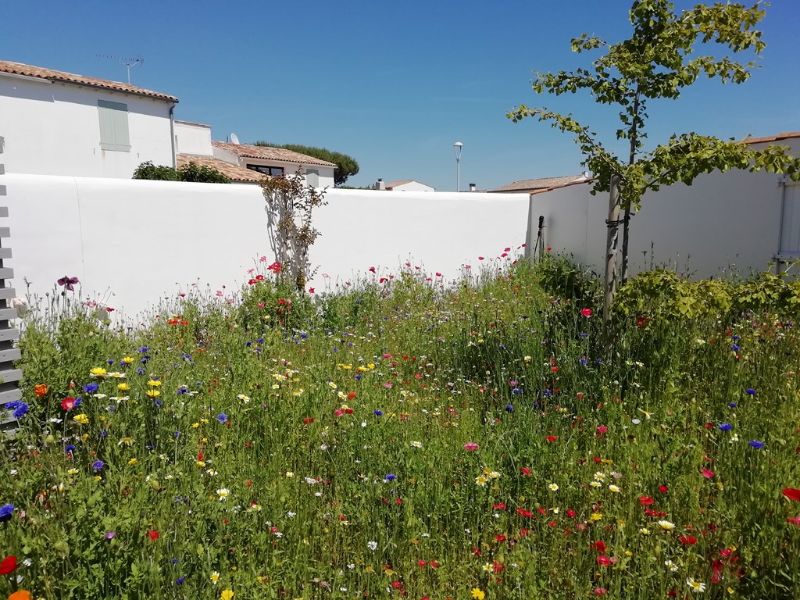 Photo 26 : JARDIN d'une maison située à Ars en Ré, île de Ré.