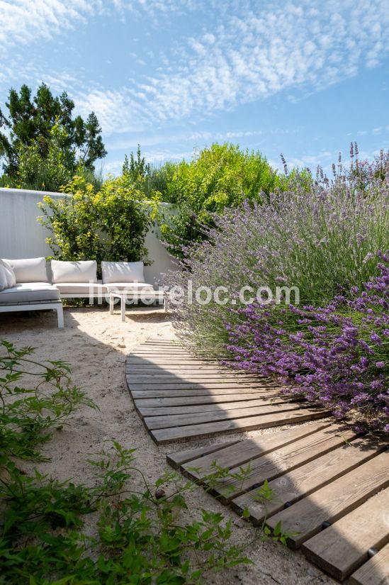 Photo 25 : NC d'une maison située à Sainte-Marie-de-Ré, île de Ré.