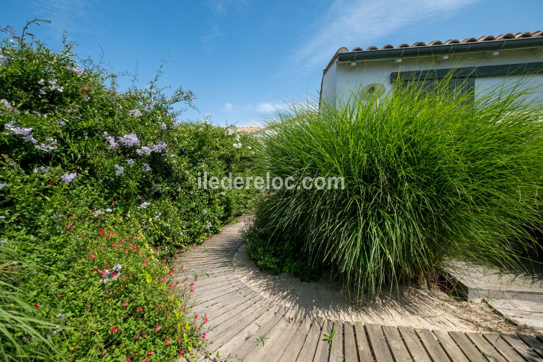 Photo 23 : NC d'une maison située à Sainte-Marie-de-Ré, île de Ré.