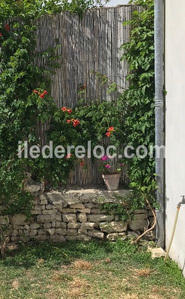 Photo 18 : NC d'une maison située à Le Bois-Plage-en-Ré, île de Ré.