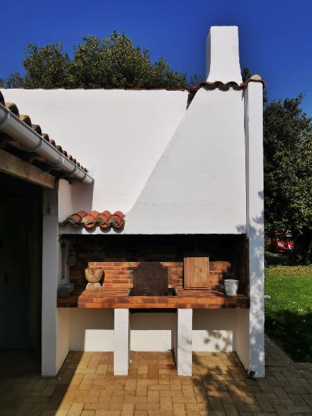 Photo 9 : TERRASSE d'une maison située à Saint-Martin, île de Ré.