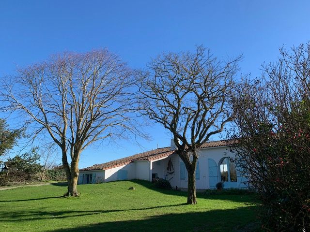 Photo 27 : EXTERIEUR d'une maison située à Saint-Martin, île de Ré.