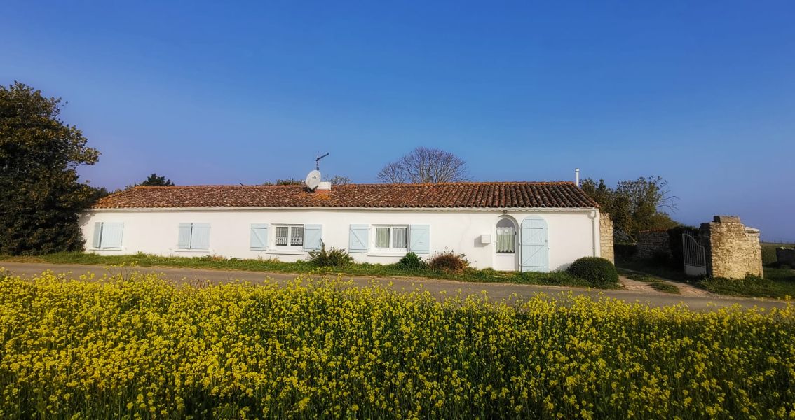 Photo 3 : EXTERIEUR d'une maison située à Saint-Martin, île de Ré.