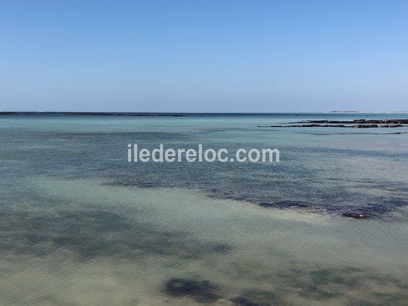 Photo 29 : AUTRE d'une maison située à La Couarde-sur-mer, île de Ré.