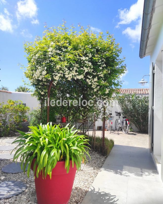 Photo 21 : NC d'une maison située à La Couarde, île de Ré.