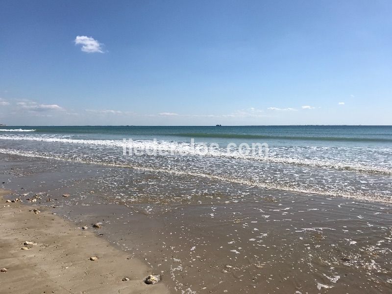 Photo 25 : NC d'une maison située à Le Bois-Plage-en-Ré, île de Ré.