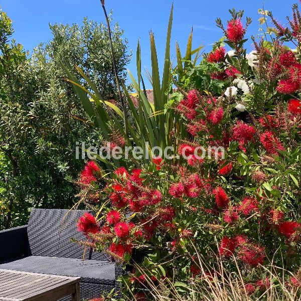 Photo 21 : TERRASSE d'une maison située à Sainte-Marie-de-Ré, île de Ré.