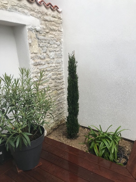 Photo 14 : NC d'une maison située à La Couarde-sur-mer, île de Ré.