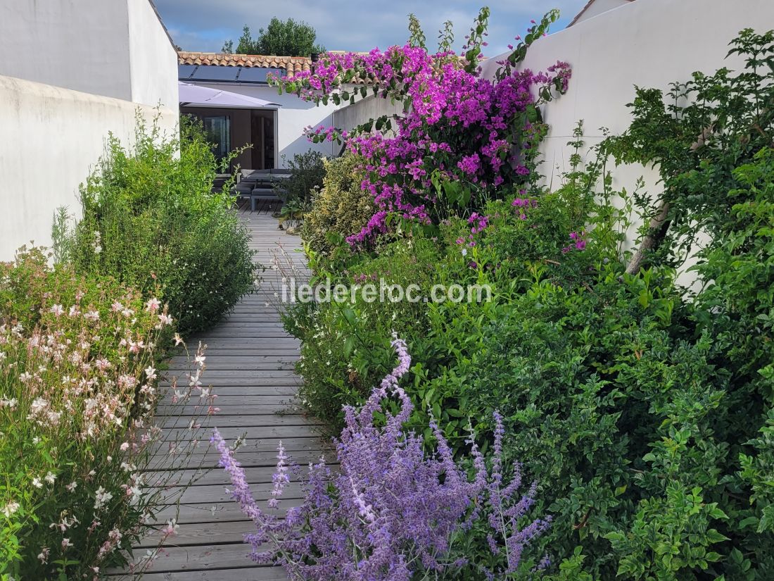 Photo 17 : ENTREE d'une maison située à Rivedoux-Plage, île de Ré.