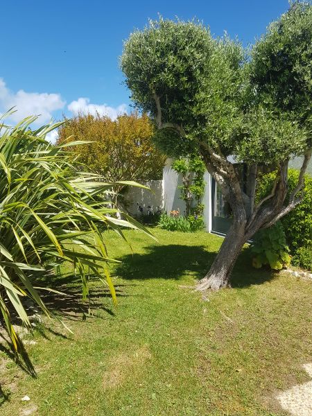 Photo 4 : JARDIN d'une maison située à Sainte-Marie-de-Ré, île de Ré.