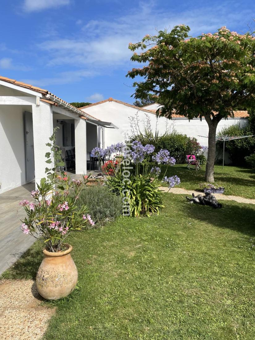 Photo 6 : JARDIN d'une maison situ&eacute;e &agrave; Sainte-Marie-de-R&eacute;, &icirc;le de R&eacute;.