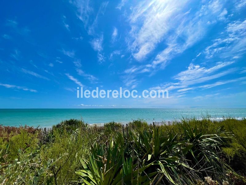 Photo 24 : NC d'une maison située à La Couarde-sur-mer, île de Ré.