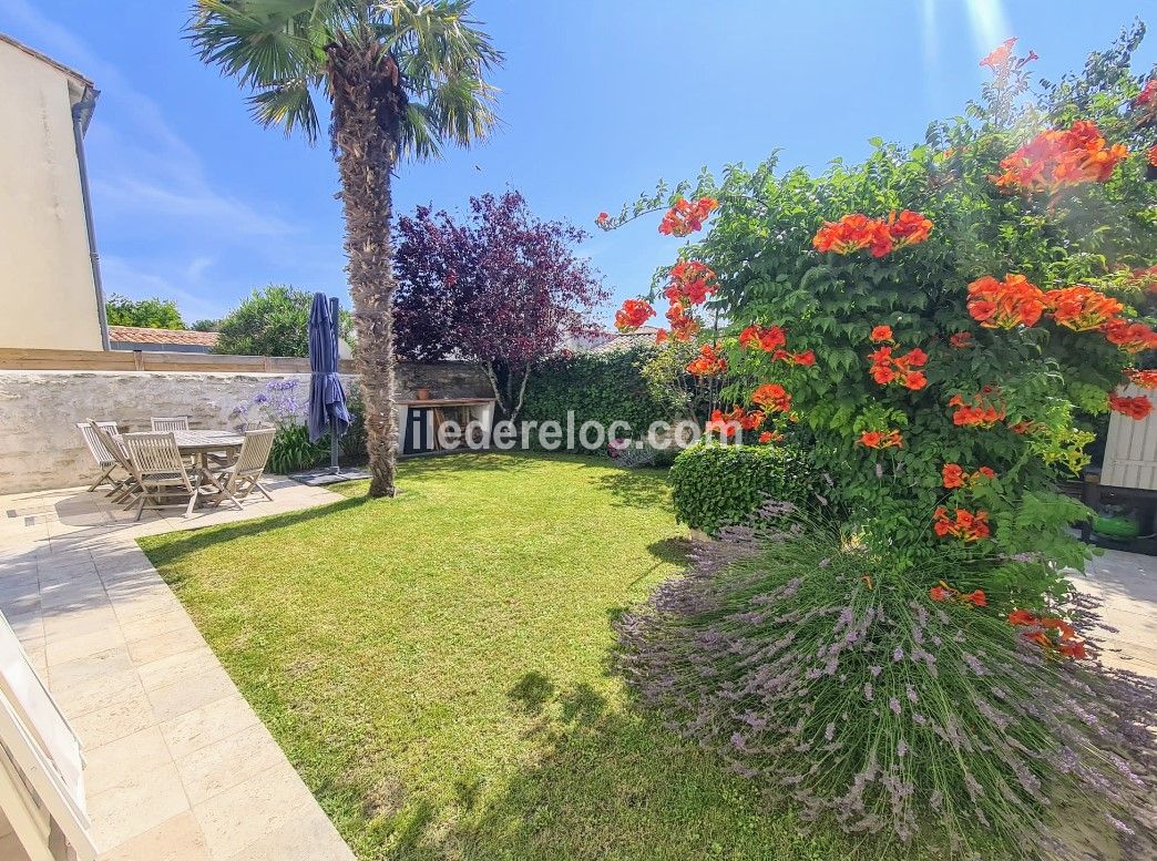 Photo 2 : JARDIN d'une maison située à Saint-Martin-de-Ré, île de Ré.