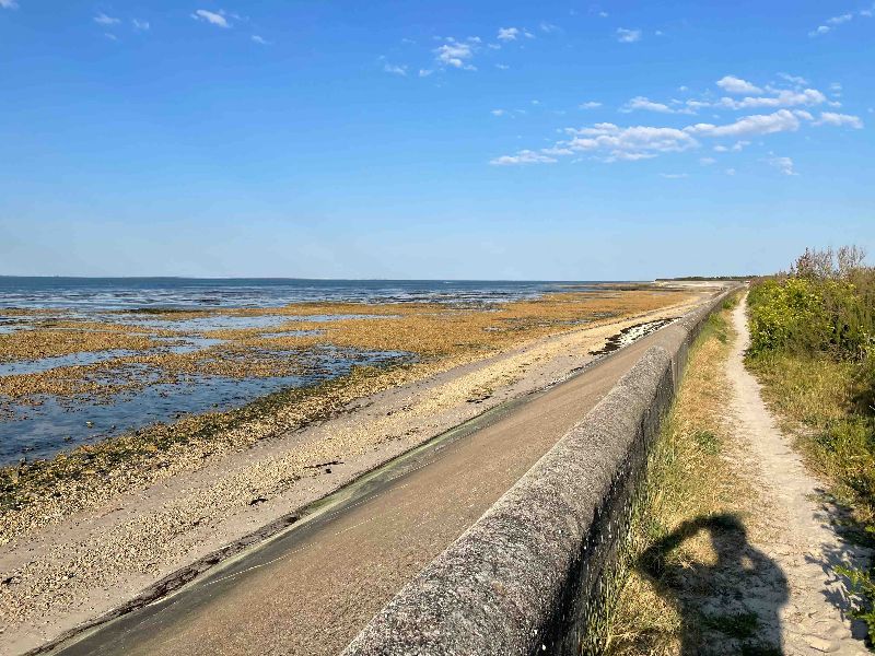 Photo 28 : NC d'une maison située à Loix, île de Ré.