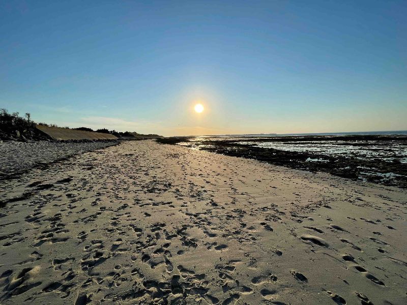 Photo 26 : NC d'une maison située à Loix, île de Ré.