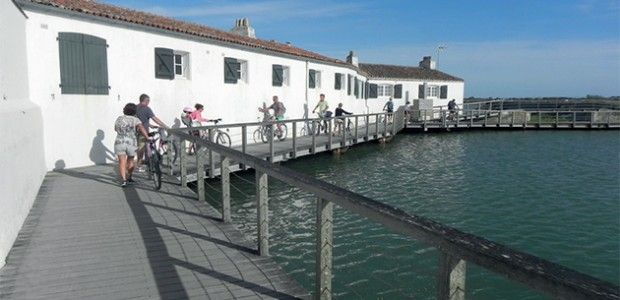 Photo 31 : NC d'une maison située à Loix, île de Ré.