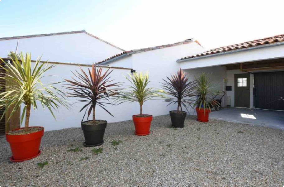 Photo 32 : NC d'une maison située à Loix, île de Ré.