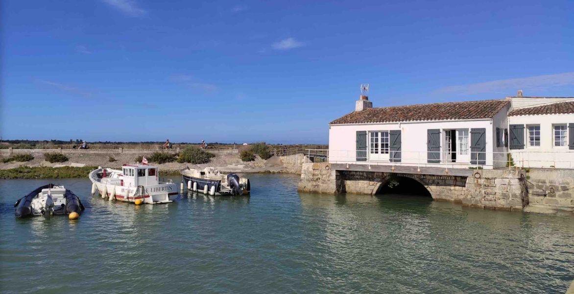 Photo 8 : NC d'une maison située à Loix, île de Ré.