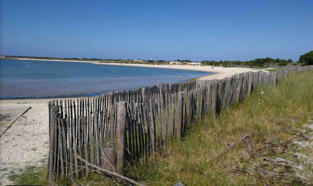 Photo 4 : NC d'une maison située à Loix, île de Ré.