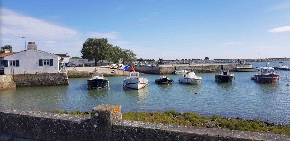 Photo 30 : NC d'une maison située à Loix, île de Ré.