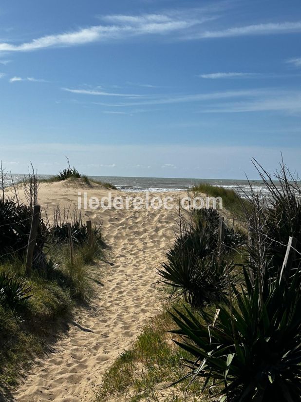 Photo 13 : NC d'une maison situ&eacute;e &agrave; Ars en R&eacute;, &icirc;le de R&eacute;.