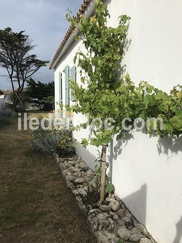 Photo 4 : ENTREE d'une maison située à Saint-Clément-des-Baleines, île de Ré.