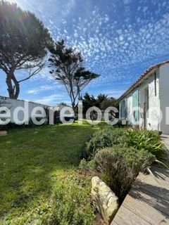 Photo 34 : JARDIN d'une maison située à Saint-Clément-des-Baleines, île de Ré.