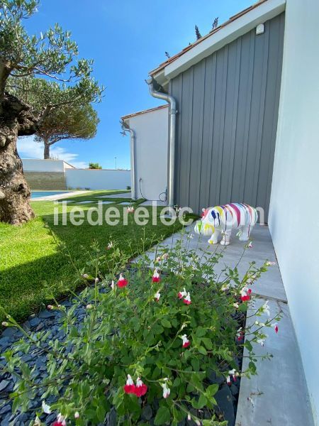 Photo 6 : JARDIN d'une maison située à Le Bois-Plage-en-Ré, île de Ré.