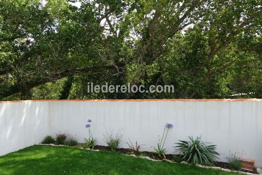 Photo 31 : JARDIN d'une maison située à Le Bois-Plage-en-Ré, île de Ré.