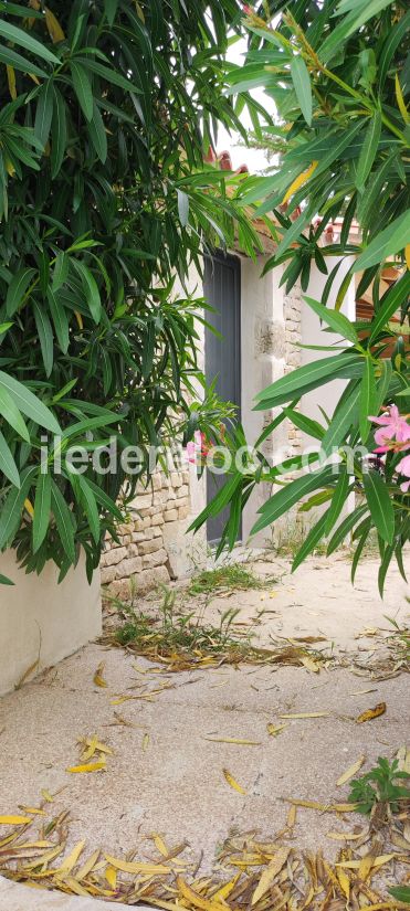 Photo 24 : JARDIN d'une maison située à Le Bois-Plage-en-Ré, île de Ré.