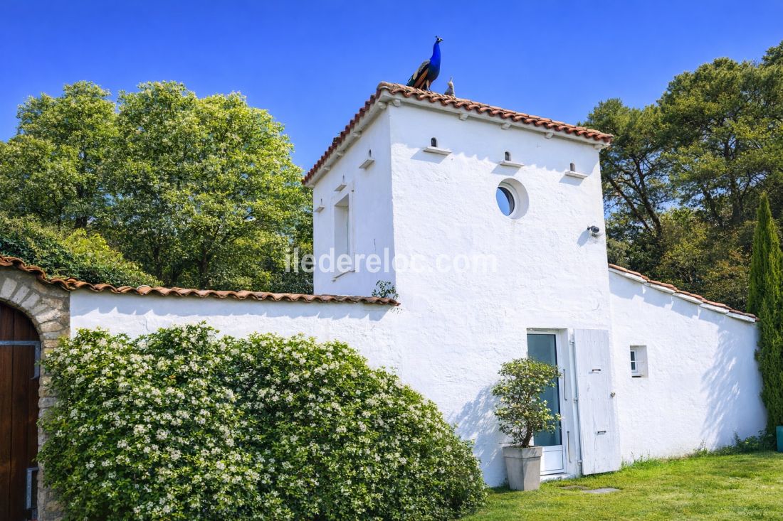 Photo 7 : NC d'une maison situ&eacute;e &agrave; Le Bois-Plage-en-R&eacute;, &icirc;le de R&eacute;.