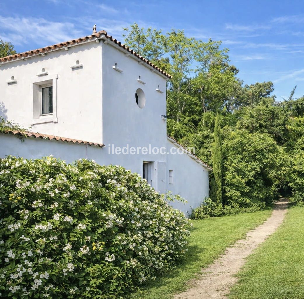 Photo 6 : NC d'une maison situ&eacute;e &agrave; Le Bois-Plage-en-R&eacute;, &icirc;le de R&eacute;.
