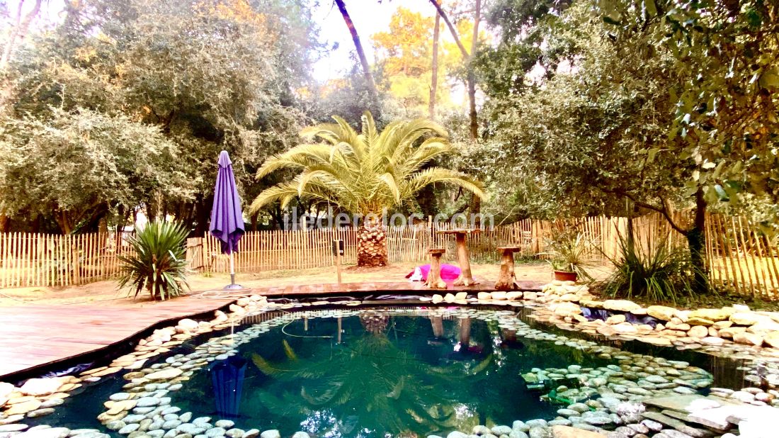 Photo 79 : PISCINE d'une maison située à Le Bois-Plage-en-Ré, île de Ré.