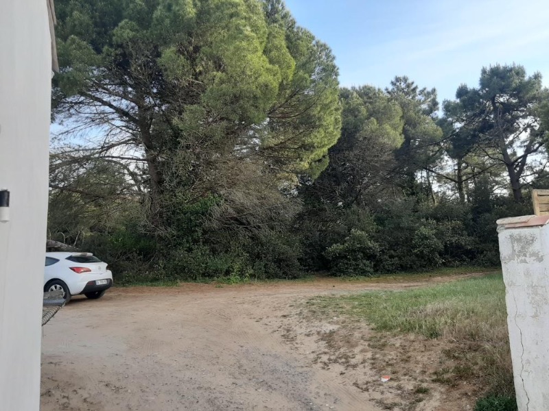 Photo 9 : NC d'une maison située à La Flotte-en-Ré, île de Ré.