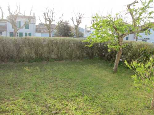 Photo 5 : JARDIN d'une maison située à Sainte-Marie-de-Ré, île de Ré.