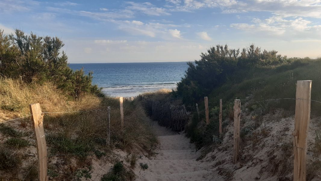 Photo 16 : EXTERIEUR d'une maison située à Le Bois-Plage-en-Ré, île de Ré.