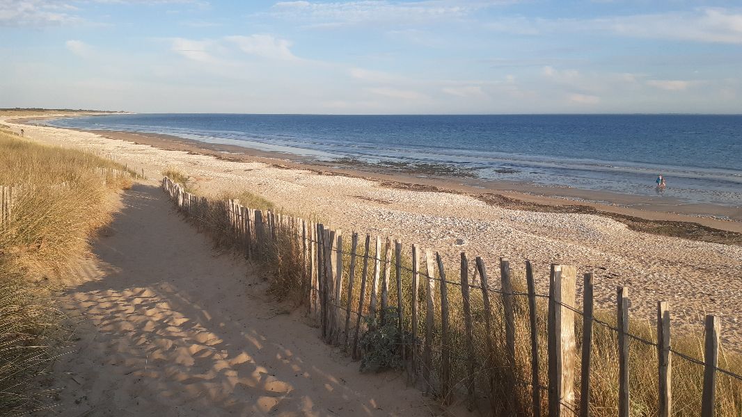 Photo 17 : EXTERIEUR d'une maison située à Le Bois-Plage-en-Ré, île de Ré.