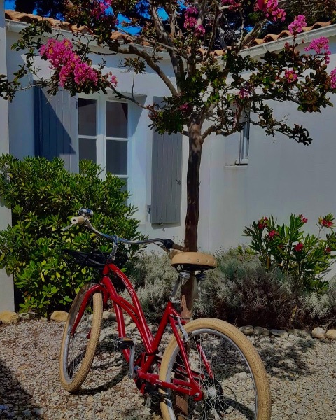 Photo 3 : NC d'une maison située à Le Bois-Plage-en-Ré, île de Ré.