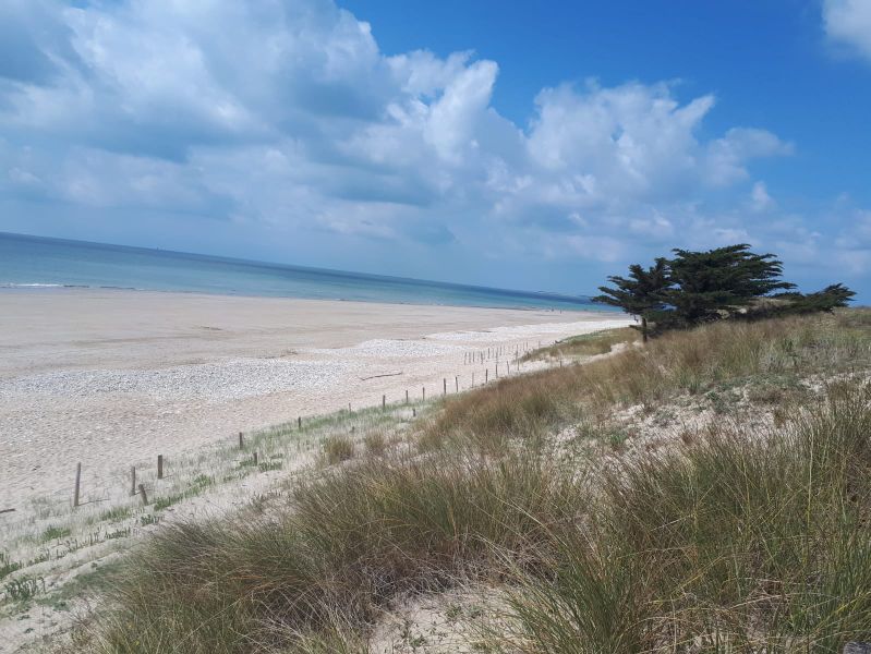 Photo 15 : EXTERIEUR d'une maison située à Le Bois-Plage-en-Ré, île de Ré.