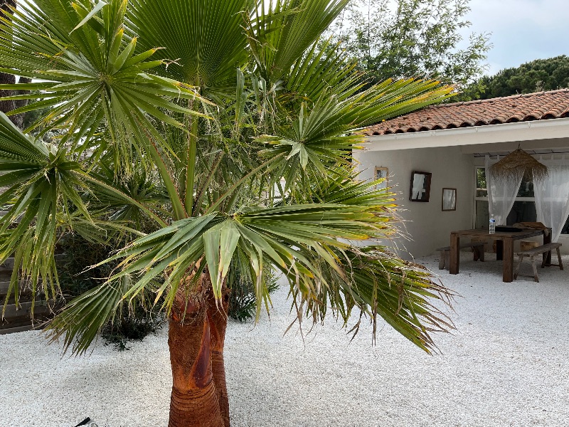 Photo 22 : NC d'une maison située à Le Bois-Plage-en-Ré, île de Ré.