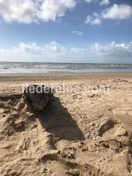 Photo 25 : AUTRE d'une maison située à Le Bois-Plage-en-Ré, île de Ré.