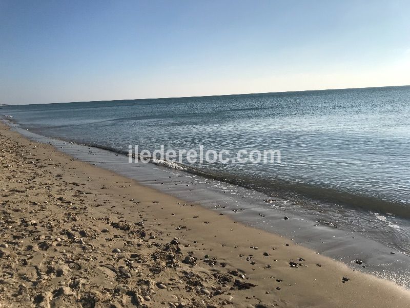 Photo 22 : AUTRE d'une maison située à Le Bois-Plage-en-Ré, île de Ré.